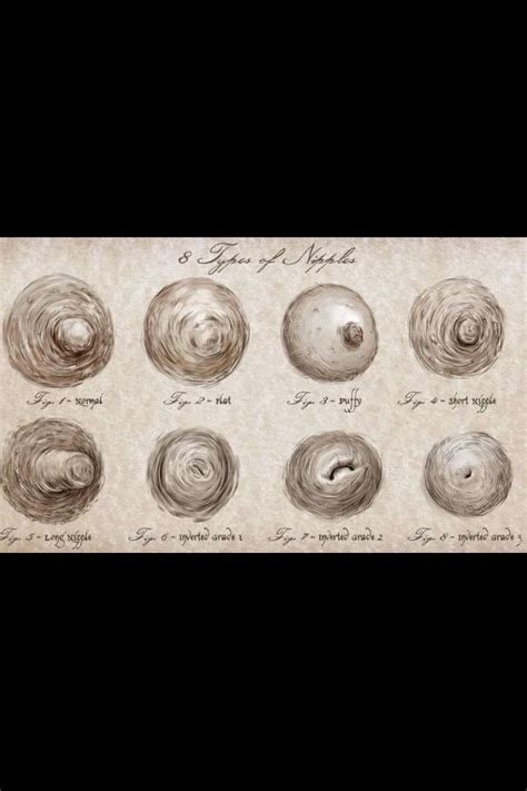 banana boobies|There Are 8 Types of Nipples in the World